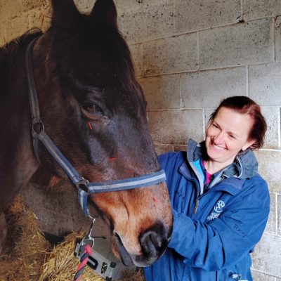 Wirral Veterinary Holistics Horse